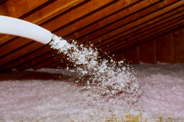 Professional Insulation Contractor in Lone Tree, IA