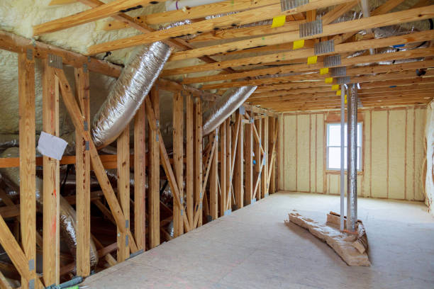 Best Eco-Friendly Insulation in Lone Tree, IA
