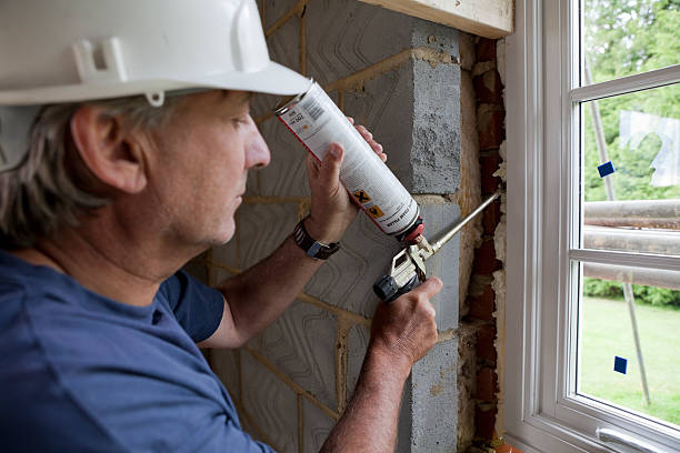 Best Geographic-Specific Insulation Services in Lone Tree, IA
