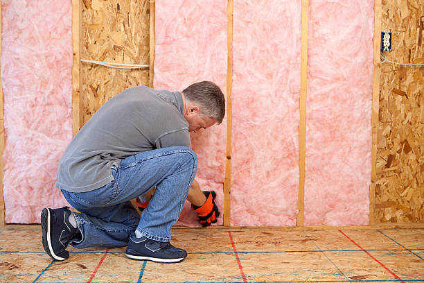 Best Blown-in Insulation in Lone Tree, IA