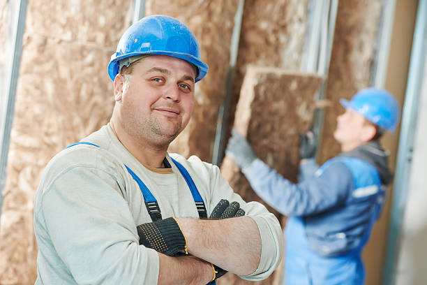 Best Insulation Maintenance and Repair in Lone Tree, IA