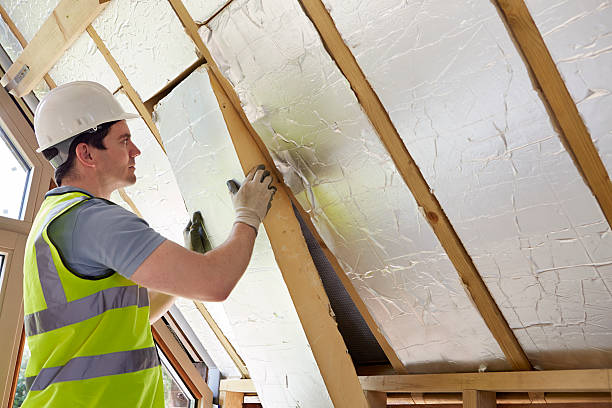 Best DIY Insulation Kits and Guidance in Lone Tree, IA