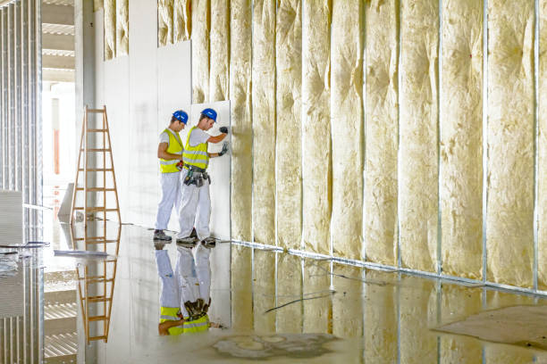 Best Specialized Insulation Services in Lone Tree, IA
